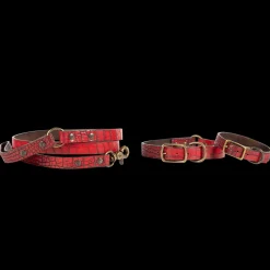 Fashion Dog Collar Womens Small Leather Goods