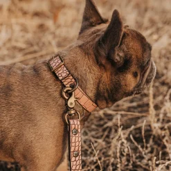 Best Dog Collar Womens Small Leather Goods