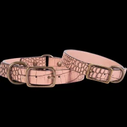 Best Dog Collar Womens Small Leather Goods