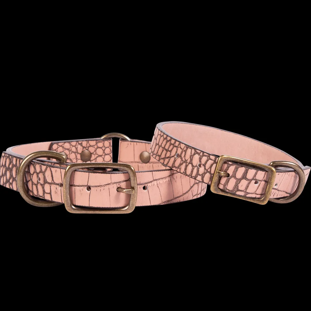 Best Dog Collar Womens Small Leather Goods