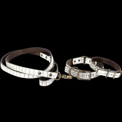 Fashion Dog Collar Womens Small Leather Goods